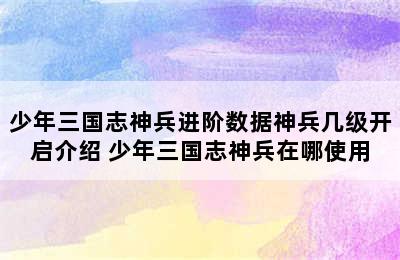 少年三国志神兵进阶数据神兵几级开启介绍 少年三国志神兵在哪使用